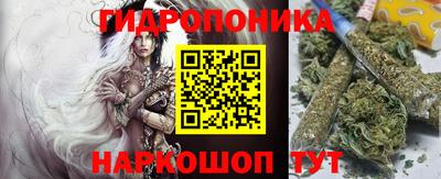 стаф Берёзовский