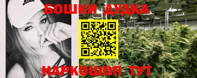 гидра Ливны