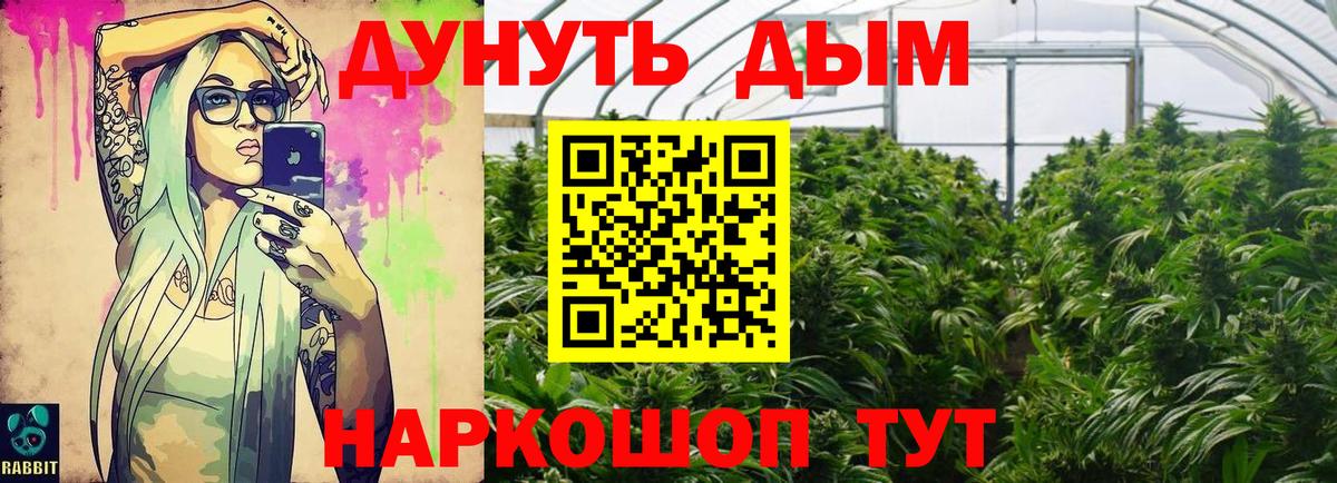 Канабис Amnesia  Вход с VPN  Каннабис сатива  Елабуга  Шишки марихуана тримм 
